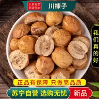 川楝子100克干货正品新货川楝楝树子实楝实煮水苦楝子石茱萸金铃子仁枣