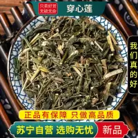 穿心莲100克干货正品春莲秋柳一见喜榄核莲苦胆草金香草金耳钩印度草