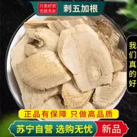 刺五加根100克干货正品新货煮水泡茶南五加皮刺五加官方店新货无硫
