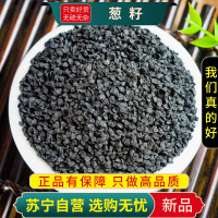 葱籽100克干货袋装葱子种籽大葱子煮水泡茶正品新货葱子甄选葱籽