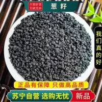 葱籽100克干货袋装葱子种籽大葱子煮水泡茶正品新货葱子甄选葱籽