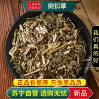 甄选倒扣草100克干货正品别名牛舌大黄倒钩草牛膝头煮水泡茶新货无硫