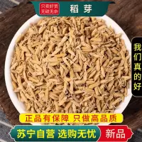 甄选稻芽100克干货新货正品生稻芽煮水泡茶蘖米稻蘖另售麦芽红枣