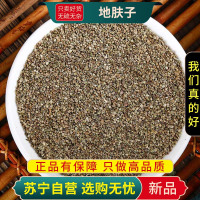 甄选地肤子100克干货别名地葵地麦落帚子地肤子煮水泡茶正品新货