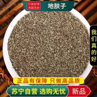 甄选地肤子100克干货别名地葵地麦落帚子地肤子煮水泡茶正品新货