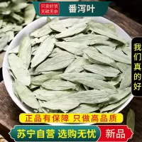 甄选番泻叶100克泻叶正品干货泻叶新货煮水泡茶潘泄叶另售红枸杞金银花