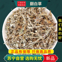 甄选翻白草100克官方店干货正品煮水泡茶另售绞股蓝茶苦丁茶正品