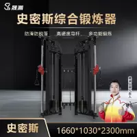 晟渊 小飞鸟综合训练器 引体向上力量器械多功能龙门架健身器材 YXF125