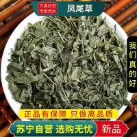 甄选凤尾草100克干货正品凤尾草鸡脚草金鸡尾凤尾五指草甄选凤尾草