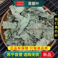 甄选芙蓉叶100克干货正品木芙蓉叶芙蓉花叶煮水泡茶拒霜叶地芙蓉叶新货