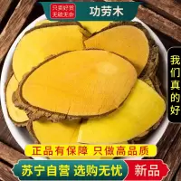 甄选功劳木100克干货正品新货功劳木土黄连黄藤刺黄柏功劳木片煮水泡茶