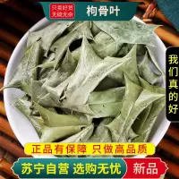 枸骨叶100克干货正品新货功劳叶狗枸骨刺八角刺猫儿刺八角刺羊角刺树叶