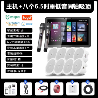 先科(SAST)智能AI家庭吸顶音响套装家用客厅无线蓝牙吊顶 智能K歌主机+8个6.5英寸重低音同轴吸顶音响