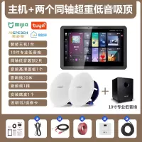 先科(SAST)智能AI家庭吸顶音响客厅无线蓝牙吊顶智能语音主机+2个6.5英寸超重低音同轴吸顶音响+10吋专业低音炮