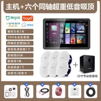 先科(SAST)智能AI家庭吸顶音响客厅无线蓝牙吊顶智能语音主机+6个6.5英寸超重低音同轴吸顶音响+10吋专业低音炮