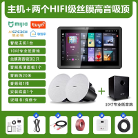 先科(SAST)智能AI家庭吸顶音响客厅无线智能语音主机+2个6.5英寸HiFi丝膜高音同轴吸顶音响+10吋专业低音炮