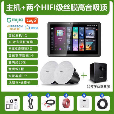 先科(SAST)智能AI家庭吸顶音响客厅无线智能语音主机+2个6.5英寸HiFi丝膜高音同轴吸顶音响+10吋专业低音炮