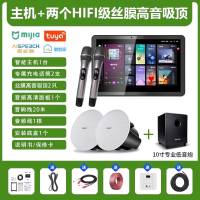 先科(SAST)智能AI家庭吸顶音响客厅无线智能K歌主机+2个6.5英寸HiFi丝膜高音同轴吸顶音响+10吋专业低音炮