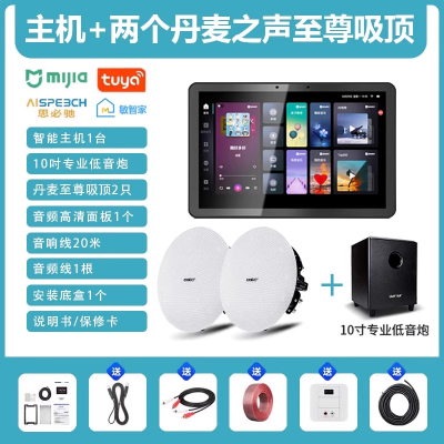 先科(SAST)智能AI家庭吸顶音响家用客厅无线蓝牙智能语音主机+2个8英寸HiFi至尊同轴吸顶音响+10吋专业低音炮