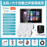 先科(SAST)智能AI家庭吸顶音响家用客厅无线蓝牙智能语音主机+6个8英寸HiFi至尊同轴吸顶音响+10吋专业低音炮