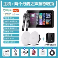 先科(SAST)智能AI家庭吸顶音响家用客厅无线蓝牙智能K歌主机+2个8英寸HiFi至尊同轴吸顶音响+10吋专业低音炮