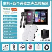 先科(SAST)智能AI家庭吸顶音响家用客厅无线蓝牙智能K歌主机+4个8英寸HiFi至尊同轴吸顶音响+10吋专业低音炮