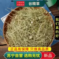 谷精草100克干货正品新货谷精连萼谷精草煮水泡茶珍珠草正品甄选谷精草