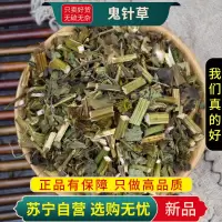 鬼针草100克正品干货新货鬼针草白花三叶鬼针草正品虾钳草甄选鬼针草