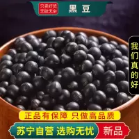 甄选绿芯心黑豆100克大粒绿黄发芽打豆浆五谷杂粮另售红赤小红芸