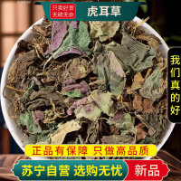 甄选虎耳草100克正品干货新货高山虎耳草干虎儿草姬虎耳草干货虎耳草