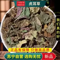 甄选虎耳草100克正品干货新货高山虎耳草干虎儿草姬虎耳草干货虎耳草