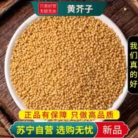 甄选黄芥子100克正品干货新货芥菜籽黄芥籽粒正品芥末子香料子芥茉子
