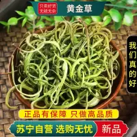 甄选黄金草100克干货正品新货正品官方店黄金草煮水泡茶化石草茶叶
