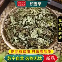甄选积雪草100克干货新货正品地钱草崩大碗马蹄草雷公根蚶壳草干货