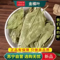 甄选金橘叶100克干货正品新货桔叶金桔叶煮水泡茶橘叶干货无硫正品新货