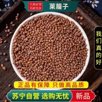 甄选莱菔子100克萝卜子新货正品生莱服子煮水泡茶另售白芥子人参黄芪