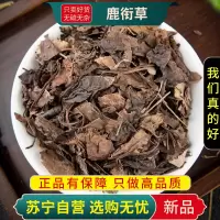 甄选鹿衔草100克新货鹿蹄草大肺筋草正品干货煮水泡茶另售白芍马鞭草