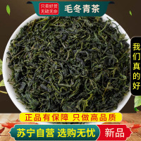 甄选毛冬青茶100克正品大叶嫩芽青山绿水小叶苦丁毛东青茶干货新货