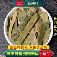 甄选枇杷叶100克干货正品新货枇杷叶干货生枇杷叶新货枇杷叶煮水泡茶