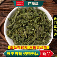 甄选伸筋草100克新货干货煮水泡茶牛尾菜大伸筋牛尾节水球花牛尾蕨正品