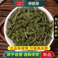 甄选伸筋草100克新货干货煮水泡茶牛尾菜大伸筋牛尾节水球花牛尾蕨正品