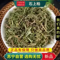 甄选石上柏100克正品新货煮水泡茶肺筋草石上柏凤尾草正品干货无硫