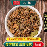 甄选石苇100克正品干货新货煮水泡茶石皮金星草石伟石韦石苇