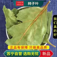 甄选柿子叶100克干货正品新货柿子叶茶货柿叶霜后柿子树叶干货
