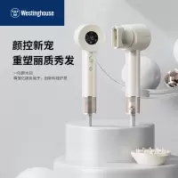 西屋高速电吹风机负离子速干护发电吹风筒 WL-HCF1605