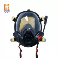 宝亚安全上海宝亚通讯全面罩 黑色