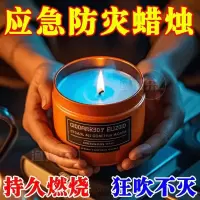 碉凰 防灾停电应急蜡烛铁盒罐战略应急物资储备包优质石蜡[防十年不会坏] 买一罐送一盖[应急照明铁盒蜡]2件套升级款