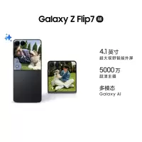 三星 Galaxy Flip7 12GB+512GB 秘影黑 折叠屏手机 5000万像素 AI手机