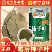 北京同仁堂柿子叶20g鲜摘霜后干柿子叶降泡水喝血茶正品压官方旗舰店