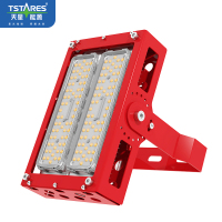 戴星 LED抗振投光灯 TS-KZTG120-T02 造船厂、矿山、卸船机、岸桥、场桥、斗轮机等照明